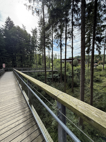 Heide Himmel – Baumwipfelpfad
