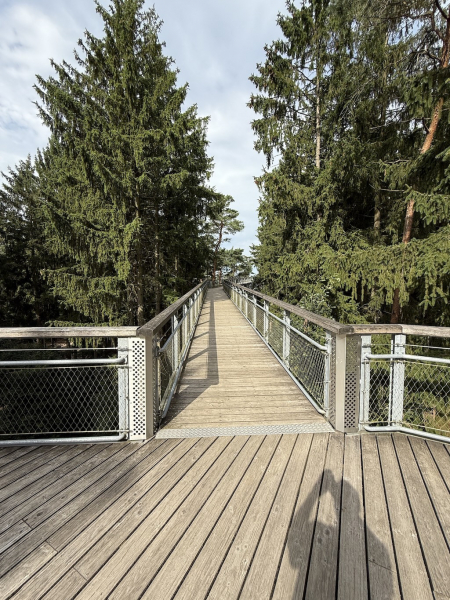 Heide Himmel – Baumwipfelpfad