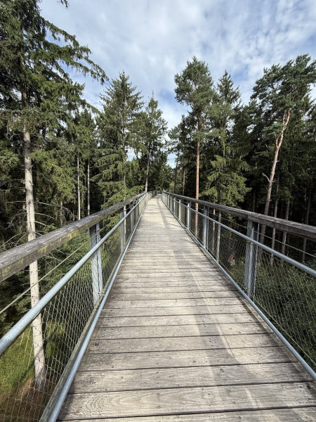 Heide Himmel – Baumwipfelpfad