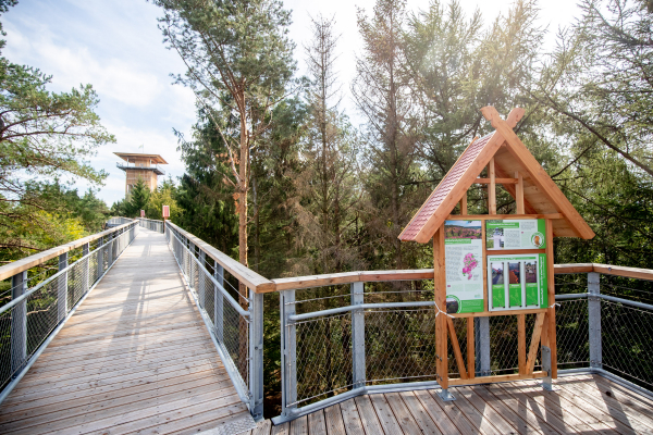 Heide Himmel – Baumwipfelpfad