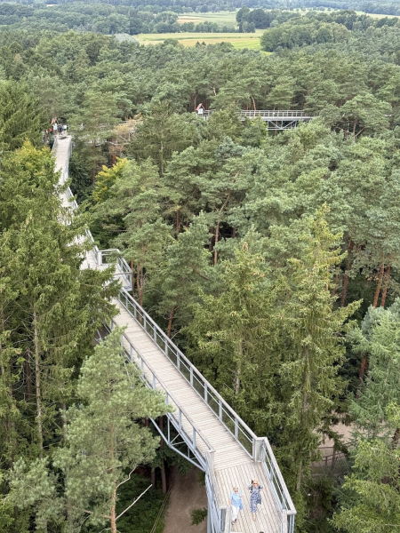 Heide Himmel – Baumwipfelpfad