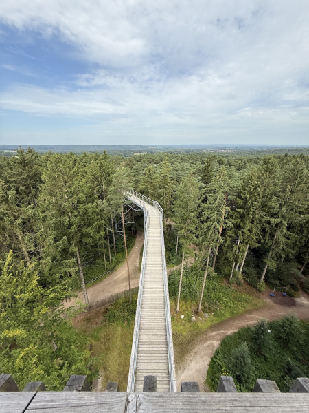 Heide Himmel – Baumwipfelpfad