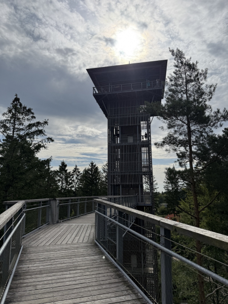 Heide Himmel – Baumwipfelpfad