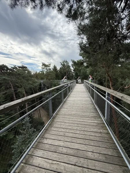 Heide Himmel – Baumwipfelpfad