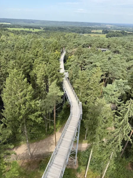Heide Himmel – Baumwipfelpfad