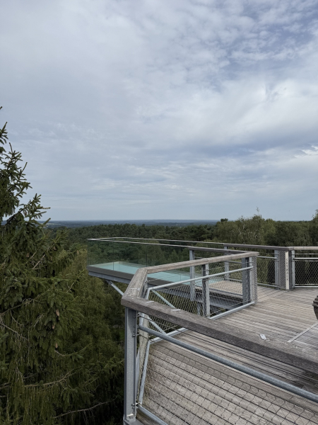 Heide Himmel – Baumwipfelpfad