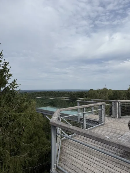Heide Himmel – Baumwipfelpfad