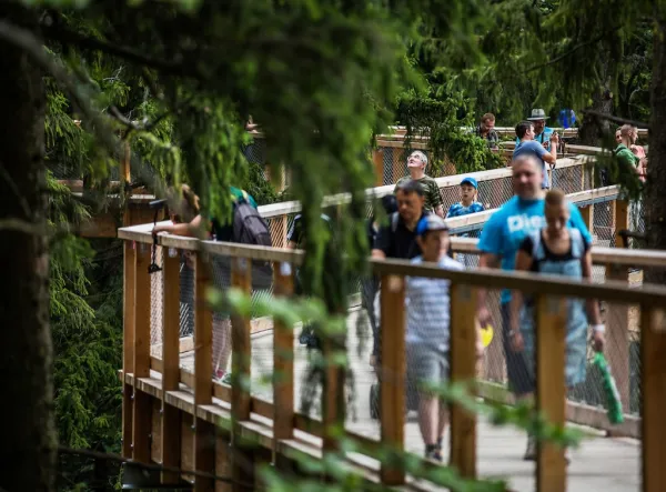 Baumwipfelpfad Krkonoše