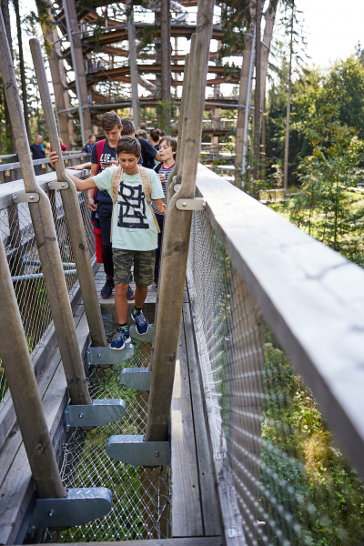 Baumwipfelpfad Krkonoše