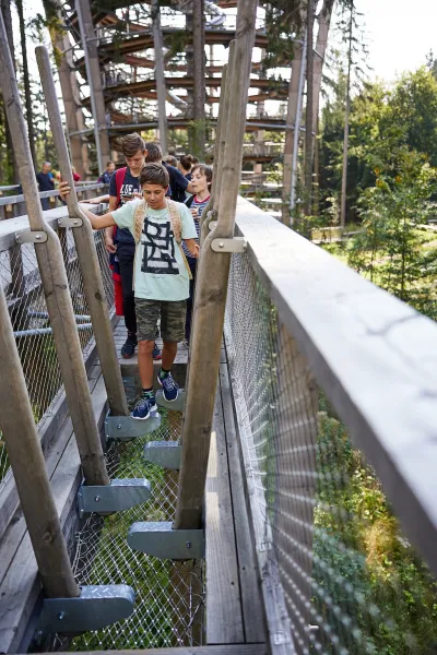 Baumwipfelpfad Krkonoše