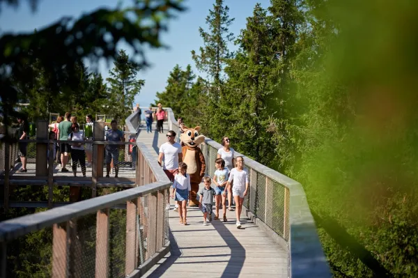 Baumwipfelpfad Pohorje