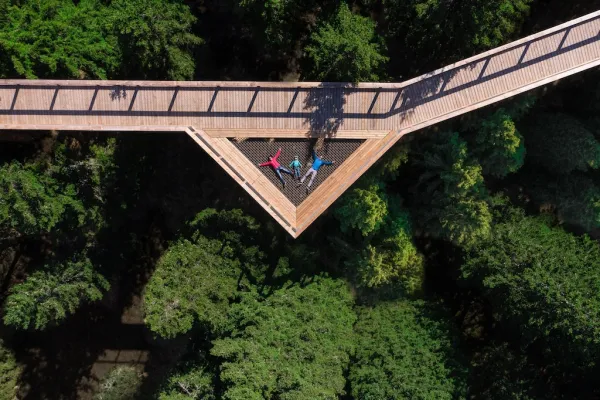 Baumwipfelpfad Pohorje