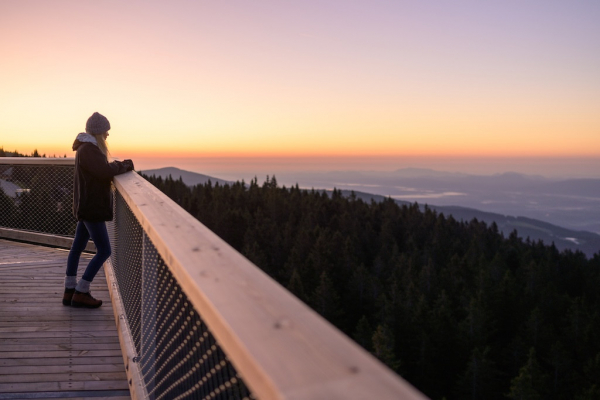 Baumwipfelpfad Pohorje