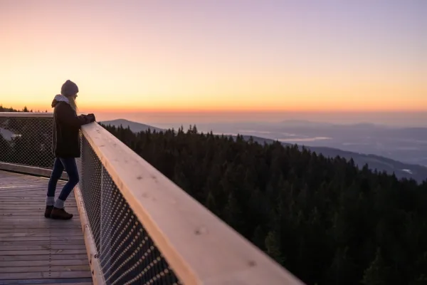 Baumwipfelpfad Pohorje