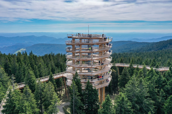 Baumwipfelpfad Pohorje - Slowenien