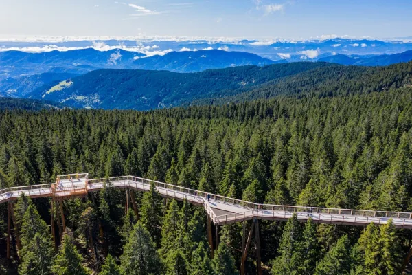 Baumwipfelpfad Pohorje