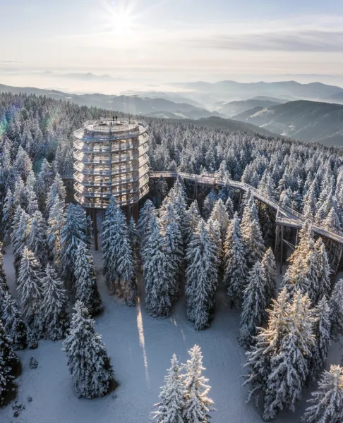 Baumwipfelpfad Pohorje