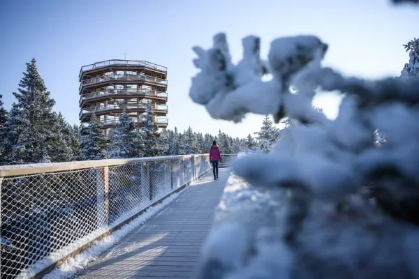 Baumwipfelpfad Pohorje