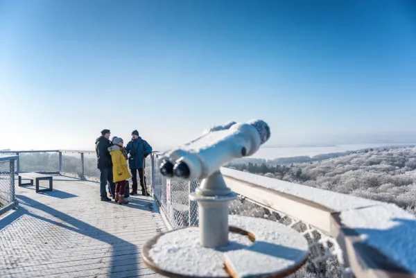 Baumwipfelpfad im Naturerbe Zentrum Rügen