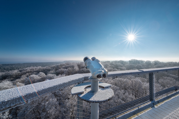 Baumwipfelpfad im Naturerbe Zentrum Rügen