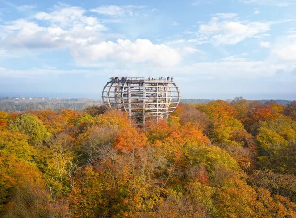 Baumwipfelpfad im Naturerbe Zentrum Rügen