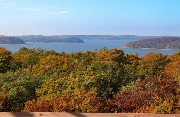 Baumwipfelpfad im Naturerbe Zentrum Rügen