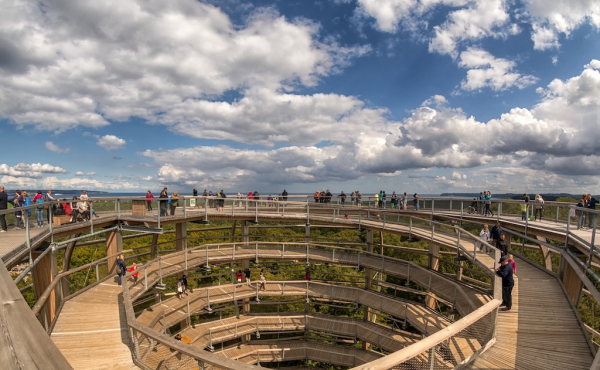Baumwipfelpfad im Naturerbe Zentrum Rügen