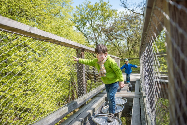 Baumwipfelpfad im Naturerbe Zentrum Rügen