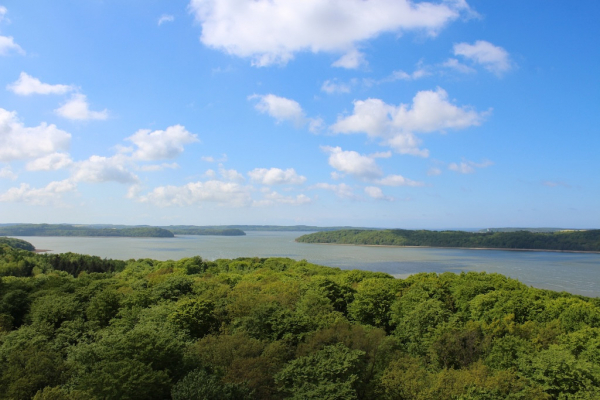 Baumwipfelpfad im Naturerbe Zentrum Rügen