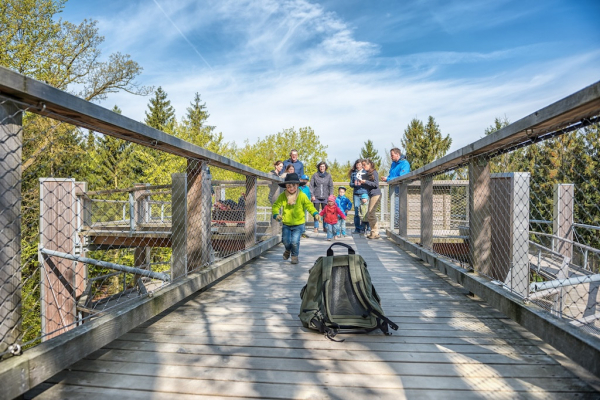 Baumwipfelpfad im Naturerbe Zentrum Rügen