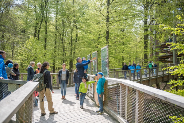 Baumwipfelpfad im Naturerbe Zentrum Rügen