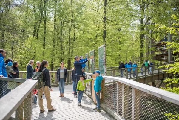 Baumwipfelpfad im Naturerbe Zentrum Rügen