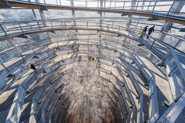 Baumwipfelpfad im Naturerbe Zentrum Rügen