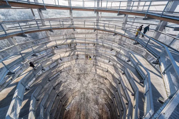 Baumwipfelpfad im Naturerbe Zentrum Rügen