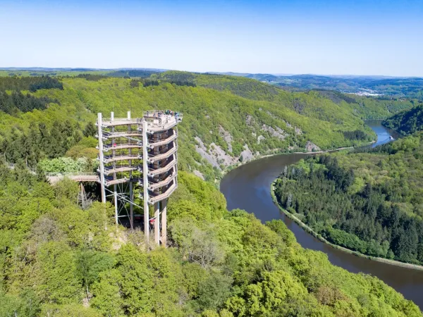 Baumwipfelpfad Saarschleife
