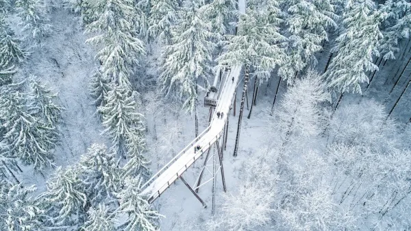 Baumwipfelpfad Saarschleife