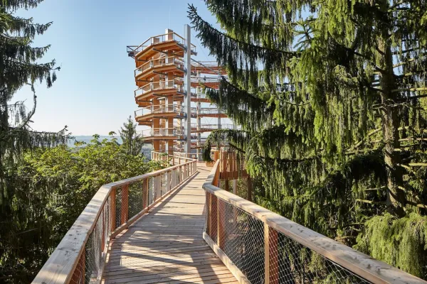 Baumwipfelpfad Saarschleife