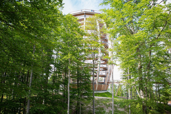 Baumwipfelpfad Salzkammergut