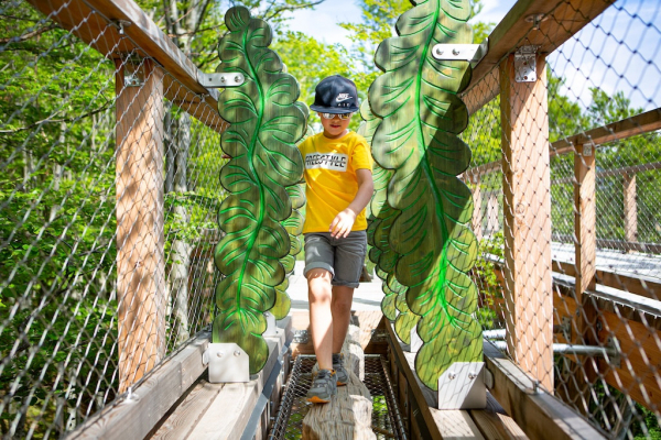 Baumwipfelpfad Salzkammergut