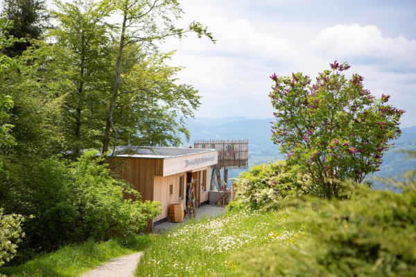 Baumwipfelpfad Salzkammergut