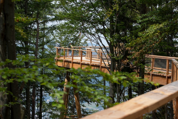 Baumwipfelpfad Salzkammergut