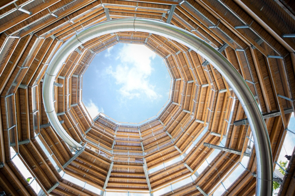 Baumwipfelpfad Salzkammergut