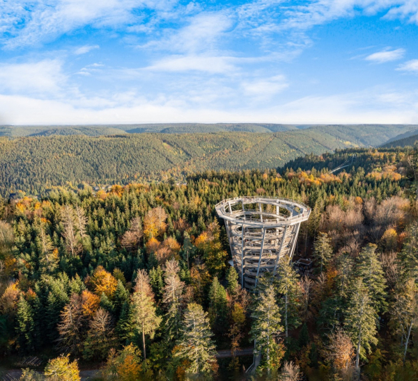 Baumwipfelpfad Schwarzwald in Bad Wildbad