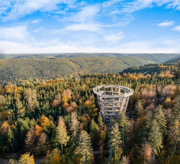 Baumwipfelpfad Schwarzwald in Bad Wildbad