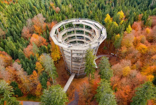 Baumwipfelpfad Schwarzwald in Bad Wildbad