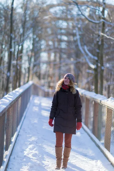 Schnee Pfad - Baumwipfelpfad Steigerwald
