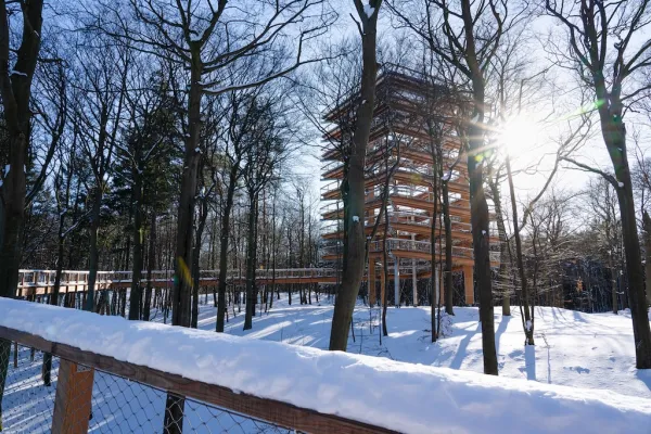 Baumwipfelpfad Usedom