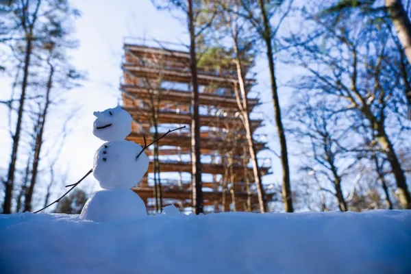 Baumwipfelpfad Usedom