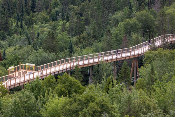 Baumwipfelpfad Laurentides - Kanada