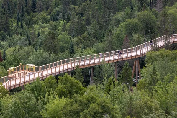 Baumwipfelpfad Laurentides - Kanada